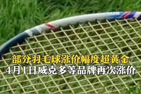 部分羽毛球涨价幅度超黄金！“100元以内几乎没球可打” 4月1日威克多等品牌再次涨价图片
