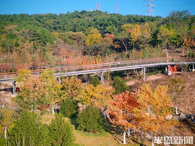 浮山叶斑斓 赏秋要趁早