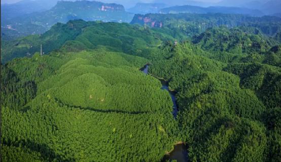 乐山秋日限定最后一波：红叶漫山处，林海踏秋时