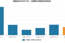 美盈森实控人与浙商银行达成超10亿元债务和解，但这个隐患不容忽视图片