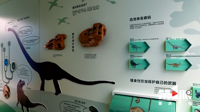 中国国家地理恐龙主题自然驿站落地云阳