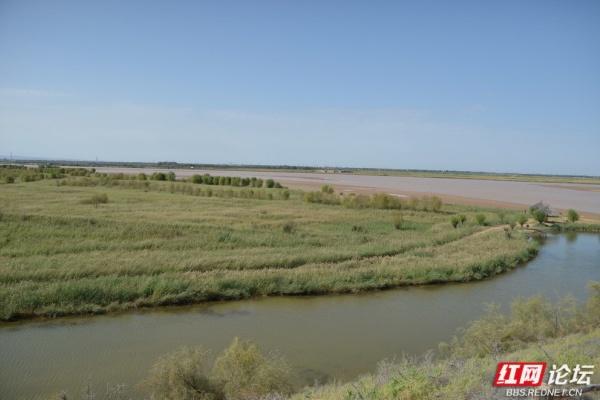 岁暖时刻丨我与黄河的几次遇见