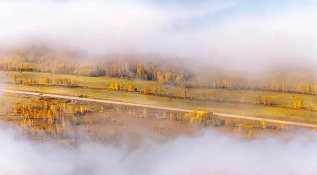 欢迎来到，秋天的廊道