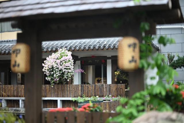 走！赴淘金山之约，叩山问水寻静心