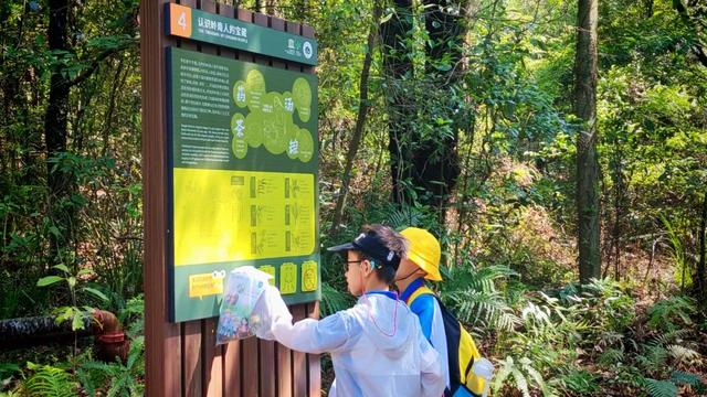 穿越400年原始森林，化身小小科学家！鼎湖山研学营火热报名中！
