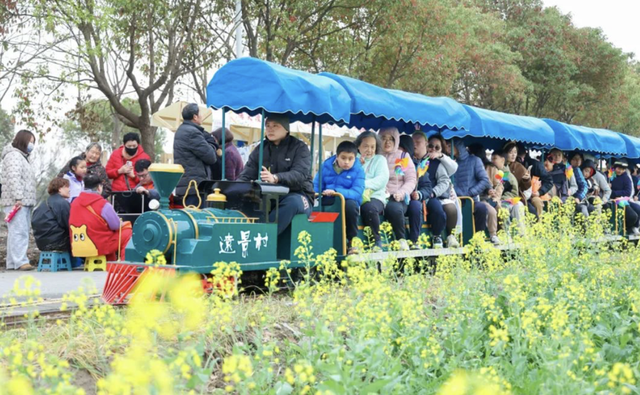 北上海的千亩花田里，能否长出“网红村”