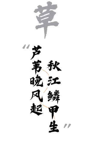 绝绝子！除了绝绝子，我还能怎么夸洛阳