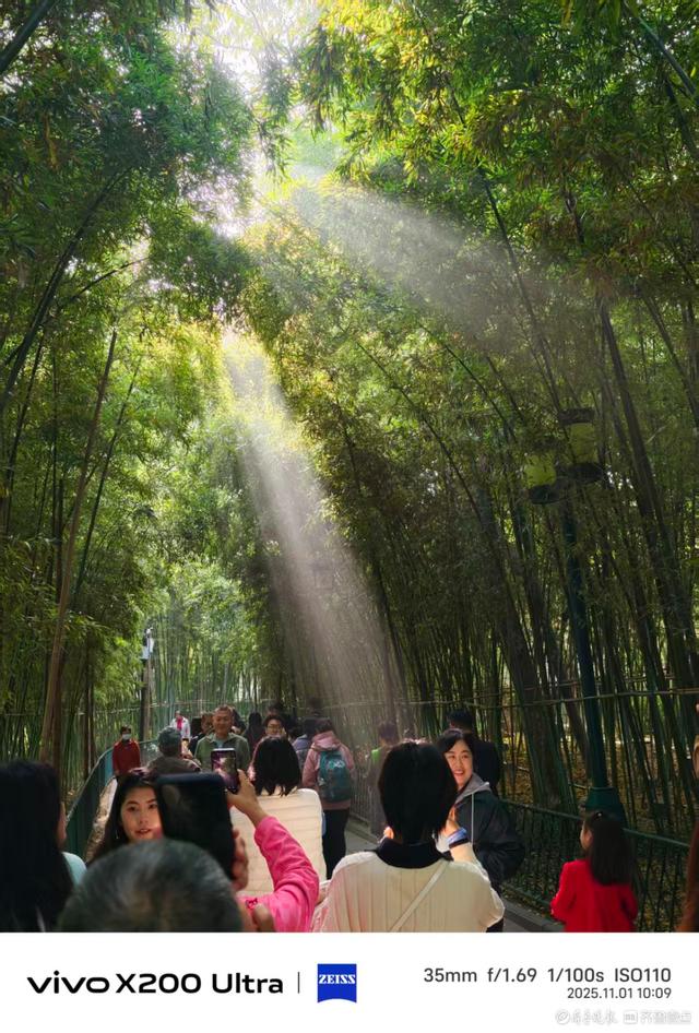 趵突泉公园里游人如织，我在记录