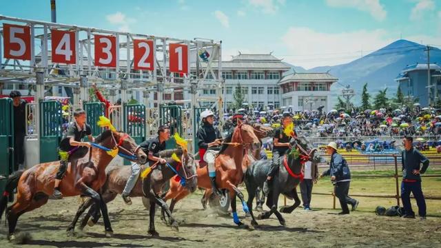 【冬季暖阳 凉山不凉】一大波活动来袭！这个彝历新年一定要来凉山！