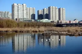 我市成立联合执法队伍 加强天鹅等野生鸟类保护图片