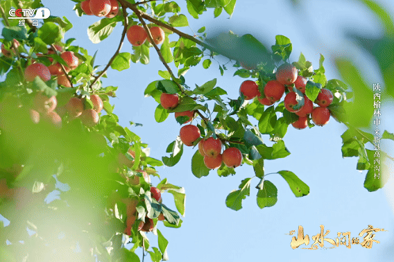 大型文旅探访节目《山水间的家》11月30日晚播出