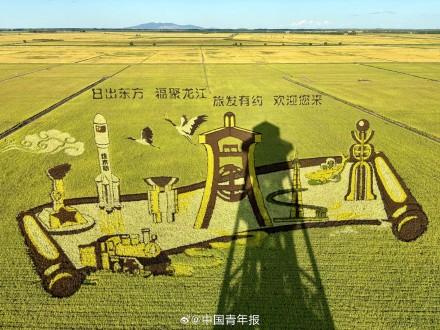 太绝了！富锦稻田画像闯入宫崎骏的夏天