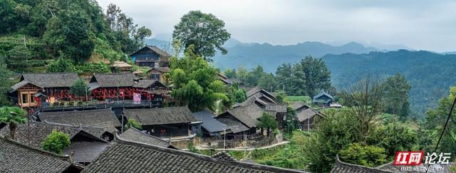 岁暖时刻｜白云深处有人家：藏在湘西山巅的原始苗寨