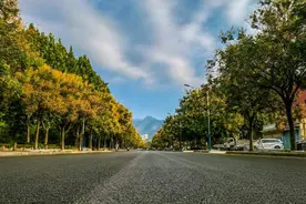 青年路（灵山大街—南湖大街）提升改造完工图片