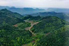 民众产业上山去 电力服务跟上来——铜仁供电德江局倾力服务乡村产业发展壮大图片