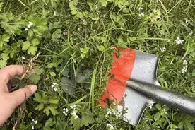 野蛮“打野”引纠纷！成都彭州公安公布三起警示案例图片