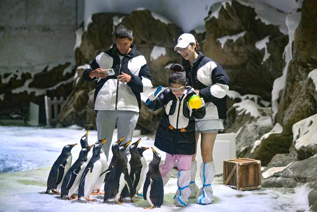 海南陵水：惬意错峰游