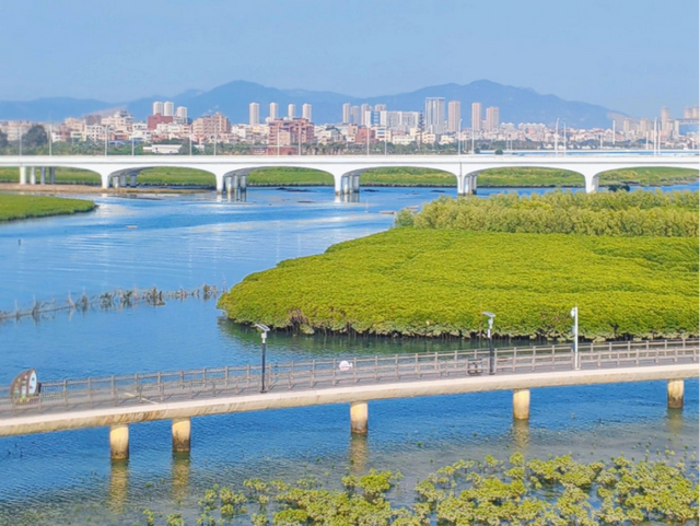 “九八”投洽会收官！澳荻文旅新干线邀您共启新程！