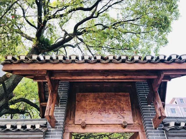 一花黄 多业兴！泸州白沙场镇走出农文旅融合新路