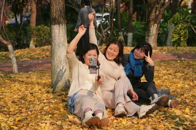 宜宾，含“金”量超高！