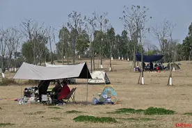 这就是幸福的味道啊！阳光灿烂，成都人把“小饭桌”搬到公园里图片