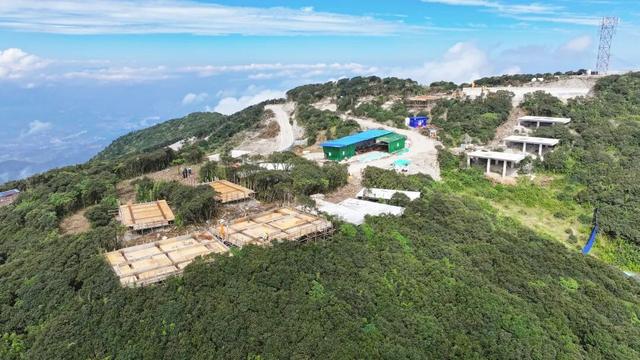 总投资上亿！杉木林一期将亮相