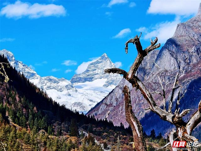 听，雪落下的声音！这里是四姑娘山的冬天