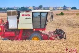 “三夏”期间河南高温少雨 整体利于小麦收获图片