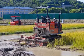 今起，舟山发放这类补贴！图片