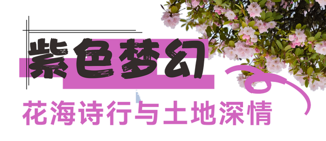 【跟着火把节游凉山】在凉山，遇见人生“彩虹”