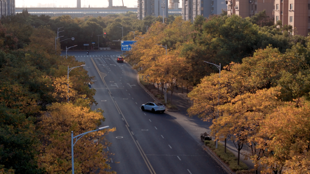 别眨眼！罗店马路秋色，一街一帧画正在限时上映