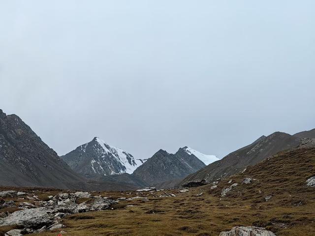 让这片雪山秘境开出生态共富之花｜祁连山下是我家