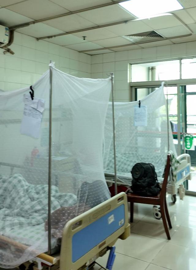基孔肯雅热感染者症状普遍较轻