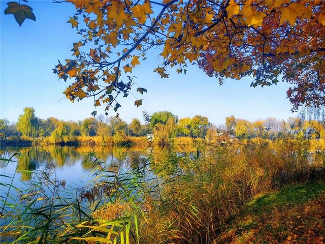 一键Get√氛围感！来这里，将海淀的秋收在镜头中——