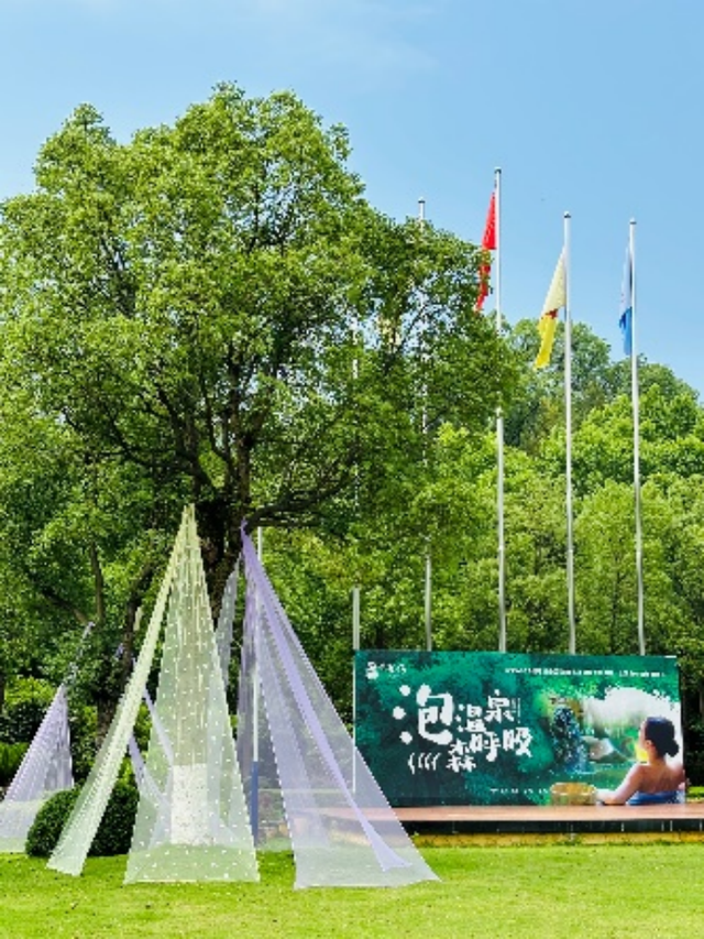 湖南绝美银杏打卡地，太出片了