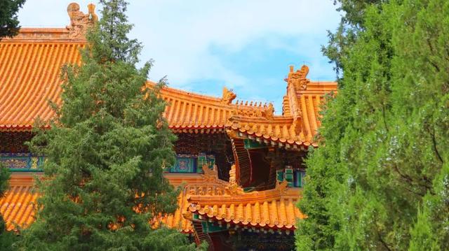 网友：约不上故宫的人，都去这里了！188位皇帝挤在一起，全国独此一处...