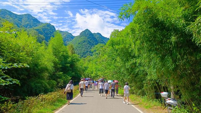 “双节”洛阳文旅放大招！免票、半价、折扣齐上阵