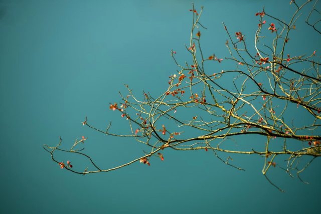 我在这里，等你→