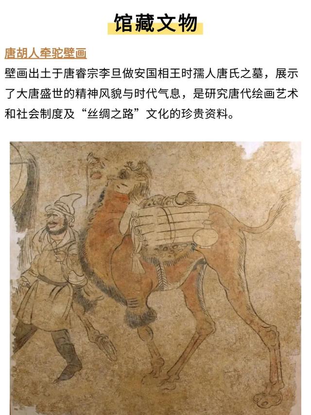 重要提醒：这些博物馆有新变化