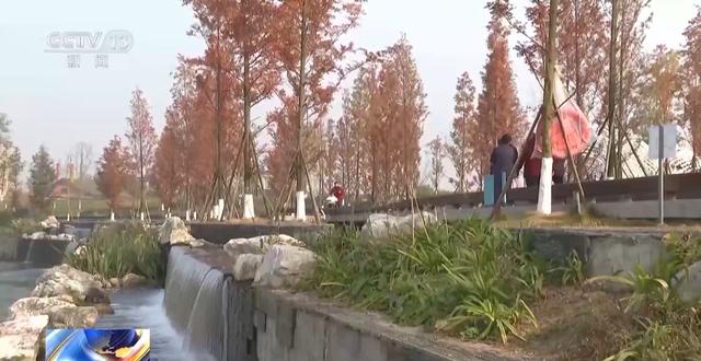 “300米见绿，500米见园” 成都打造长效发展“千园之城”