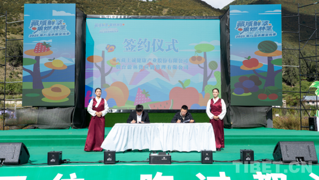 西藏林芝：一场高原果香与人文盛宴的完美邂逅