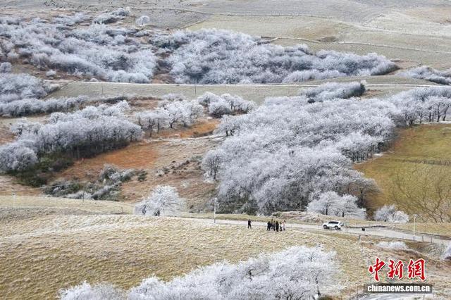 贵州威宁：雾凇作丹青 绘就高原美景