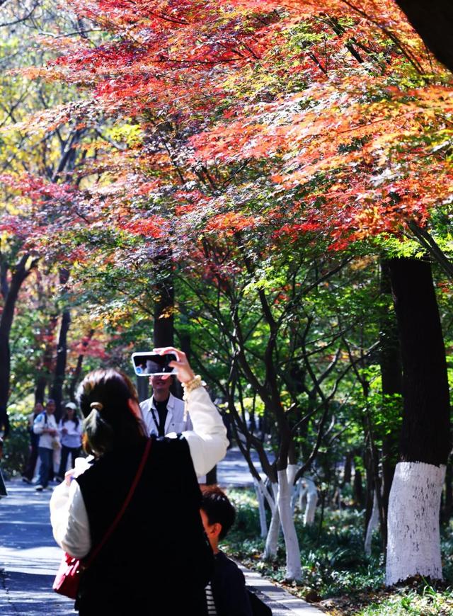 “CHUA”的一下，65%！