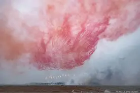 蛇年春节哪里能看大型烟花秀？香港、海口、浏阳等多地官宣图片