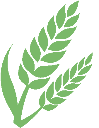 揭阳市揭西县棉湖镇：古镇蝶变焕新颜，文旅融合谱新篇