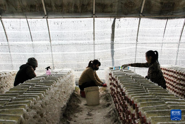 G331：“国门之路”促发展