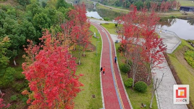 冬之伊始 宜家河滨河公园风景如画
