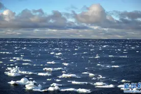 全球变暖，南极海冰融化有多严重？图片