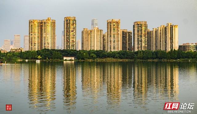 一湖映城，一园藏梦：长沙西湖公园的静谧黄昏