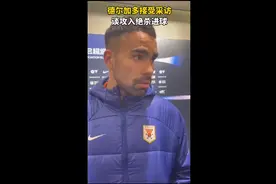 果然视频|德尔加多：在困难时刻帮助泰山队进球，十分高兴图片